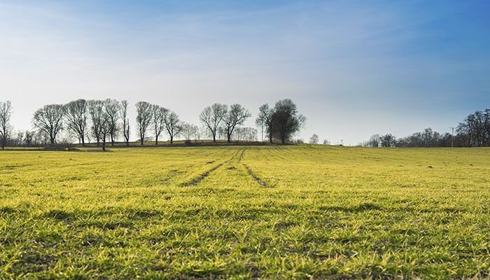 valores nutricionales carne cerdo ecológico