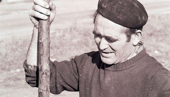 carne de cerdo ecológica