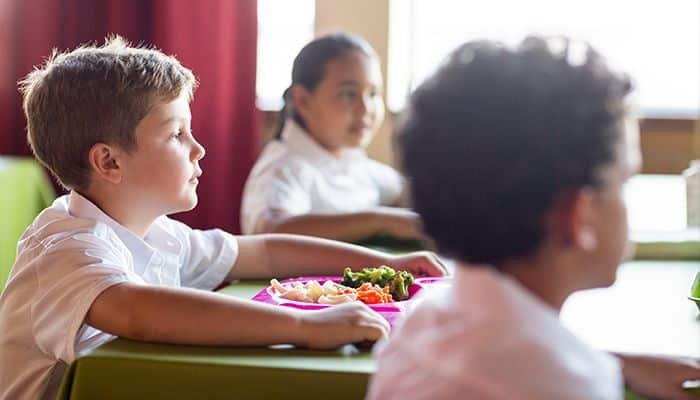 menús ecológicos colegios